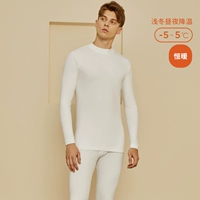 Бай (мужская наполовину высокая шея)