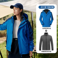 Treasure Blue Tibetan Tibetan (разборка внутренней орхидеи)