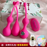 Mina [3 установки] Подарок Big Pack+наслаждайтесь лучшим куртином