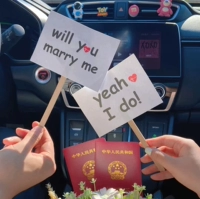 Ручная снятая IDO