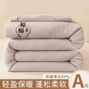 A类母婴级大豆纤维秋冬被芯