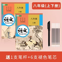 Китайские синхронные тома 8 -го класса+объем+бесплатная выцветание специальное перо
