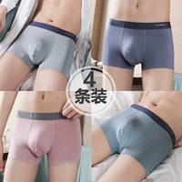 [Гладкий B4] Чансиновый ясень+голубиный пепел+темный порошок+лед и снежная орхидея