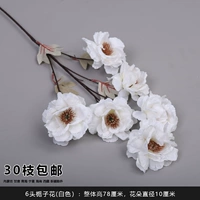 6 Gardenia Flower White