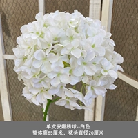 Ярко-желтая одиночная опора анна Hydrangea-White