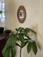 Вернуться к 5 кофейным коричневым солнцезащитным кремом 5