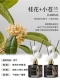 [Обновление!2 бутылки] Asmanthus Fragrance+Xiao Canglan-400ML