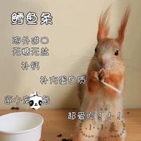 Huangshan Squirrel Mink Mink Bag Cat, собака, ежа, цветок экраины, турецкий кальций мыши, с высоким содержанием протеина, импортированная полоска трески