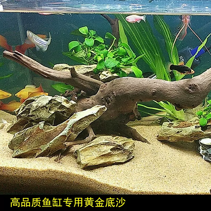 5斤装鱼缸专用高品质纯白造景沙鱼缸底砂水族沙子不浑水流沙瀑布