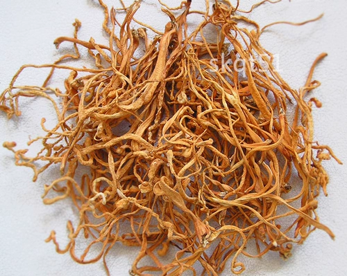 Бесплатная доставка Yutai Cordyceps цветы, cordyceps cordy cordyceps сушеные подарочные пакеты Элемент Cordyceps Flower Yunnan Specialty