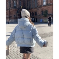 Серое пятно