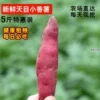 Товары от 浙西山货郎食品店