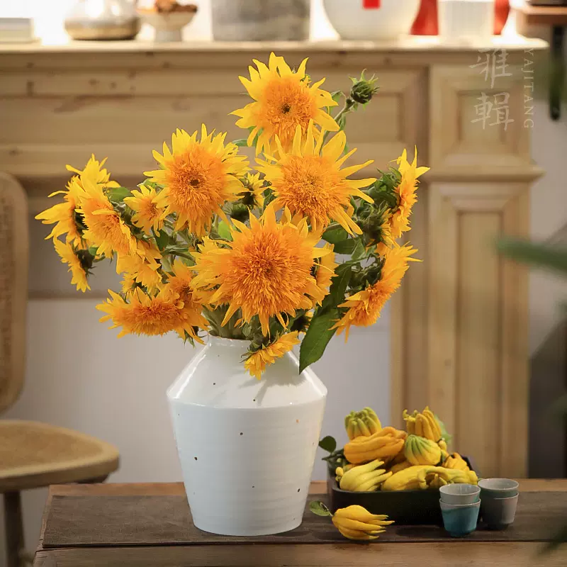 雅集堂如常青白瓷双系耳花罐花瓶花插茶道日用餐桌花器y