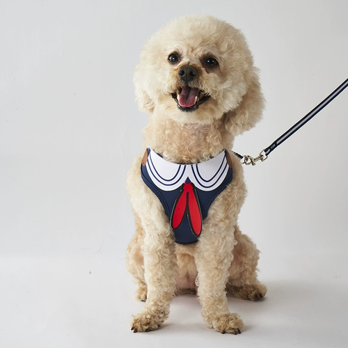 Петутная кошачья собака с собачьем гонкой веревка для собак