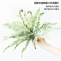 Новые серо-зеленые мягкие резиновые 21-листные листья феникса.