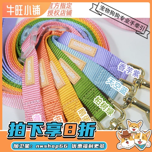 Niuwang Shop Tinklylife Dog Traction Traction Rainbow серия