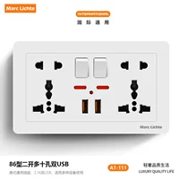 Тип 146-два отверстия по десять отверстий + две USB-розетки (с маленькой круглой)