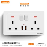 Тип 146-два квадратных три отверстия + две USB-розетки