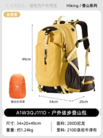 【Новая цветная рекомендация】 Золотая хризантема желтая, с дождевой крышкой J111F