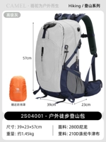 【Увеличенная версия】 Серый, бесплатный дождь 4001c.