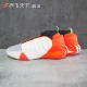 IG1623 【Пятно】