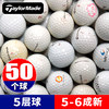 Taylorme: 5 layers of ball/56 % new [50]