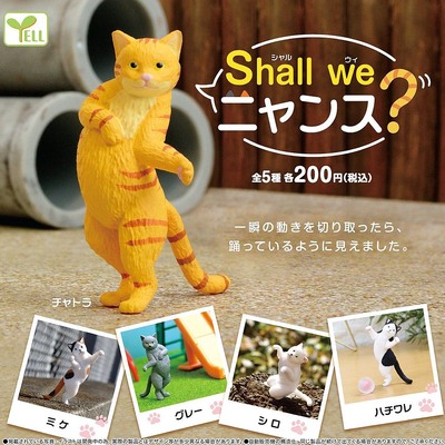 taobao agent Yell Gacha is not as good as dancing shall we dance cats to dance dance, dancing meow orange cat Sanhua dairy cow