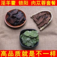 Gansu Kinkye Omin Leaf 锁 苁 苁 苁 补 补 补 补 补