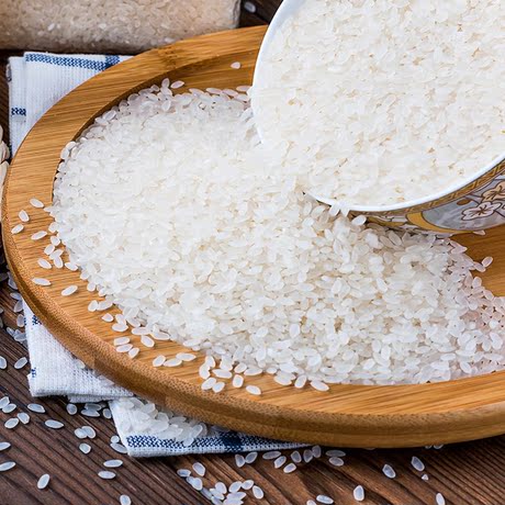 东北特产松原弱碱长粒香大米2016年新米农家自产长粒香单品250g*2