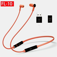 Фрилас импортированная наклейка 3M черного медведя головы