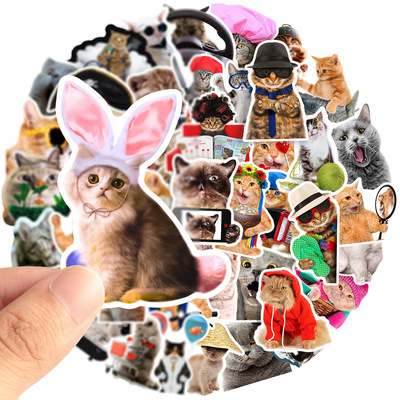 taobao agent ● Orangutan ● Cute cat emoticon package dull meow star sticker 66 pieces without repeated cat waterproof decoration