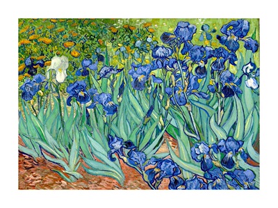 [Масляная живопись] «Iris» Ван Гога (Art Micro -Spray)