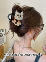 Яркий захват черного кошки среднего размера