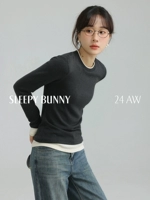 Модель серого