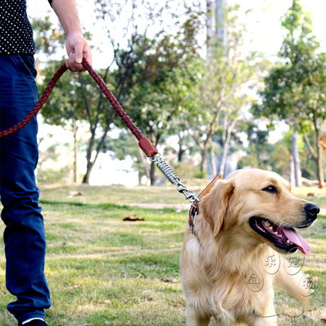 【中型犬】_狗狗牽引繩圖片_牛皮牽引繩價格_搭配分享 - 愛逛街手機版