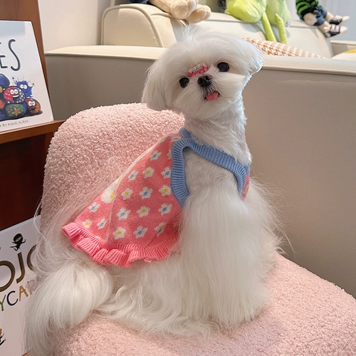 Собачья одежда осень и зимняя новая рукавочная жилета Pet Кот маленькая собака Мальтия Тедди теплый домашний костюм