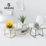 Брендовая скандинавская лампа для растений для гостиной, маленький горшок, креативное украшение в помещении, кактус, популярно в интернете