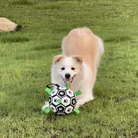 Футбольная игрушка, домашний питомец