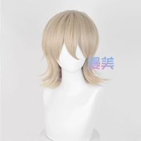 Смешанный 13 Wig+Hair Net