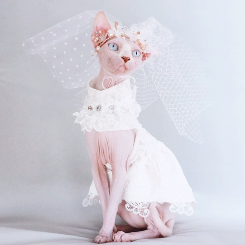 Sphinx безволосая кошачья домашняя одежда анти -харта, потеря волос на заказ немецкая платья юбка Dapan Spring and Summer