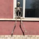Скелет 185 см