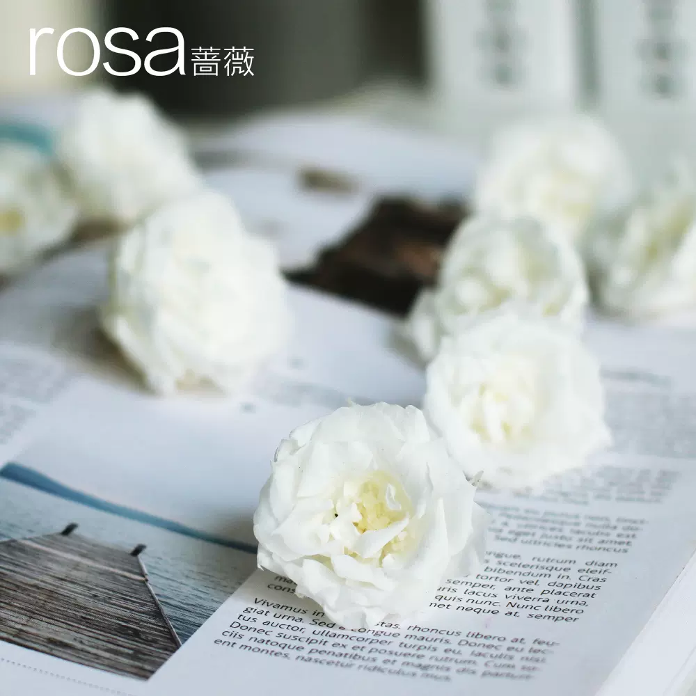 蔷薇白色粉色玛丽安永生花大地农园保鲜花新娘头饰diy浮游玻璃瓶