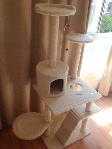 В тот же день, специальное предложение Прямые продажи, бесплатная отправка доставки постпроницаемые полки для кошек кошачьи гнезда игрушки для кошки кошачья тарелка кошачья дерево 26