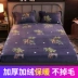 Khăn trải giường nhung san hô đơn mảnh flannel trải giường chống trượt cố định bìa giường mùa đông cộng với nhung pha lê nhung dày ấm áp - Trang bị Covers