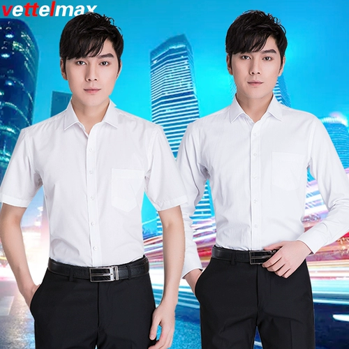 Рубашка, летний пиджак классического кроя, нарукавники, комплект, штаны подходит для мужчин и женщин, короткий рукав