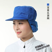 Задняя часть задней сетки с синей головой имеет сетку)