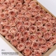 5 Peach Powder Roses