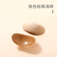 Классический цвет губки