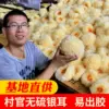 Товары от 大学生村官创业寻味