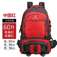 Красный [стандартные большие 60 литров]